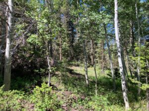 Property photo for land for sale in Gunnison County Colorado