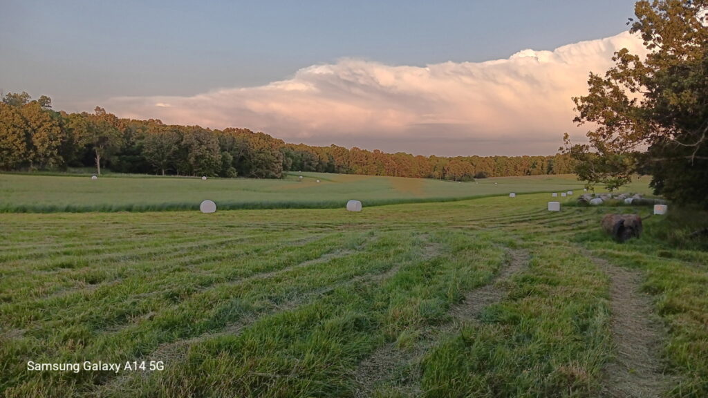 Property photo for land for sale in Howell County Missouri