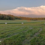 Property photo for land for sale in Howell County Missouri