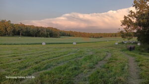 Property photo for land for sale in Howell County Missouri