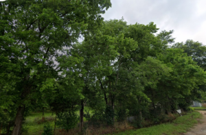 Property photo for land for sale in Milam County Texas