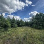 Property photo for land for sale in Adams County Wisconsin