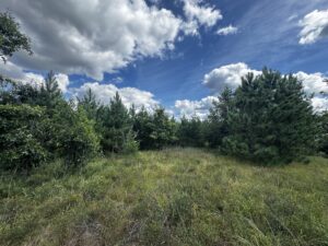 Property photo for land for sale in Adams County Wisconsin