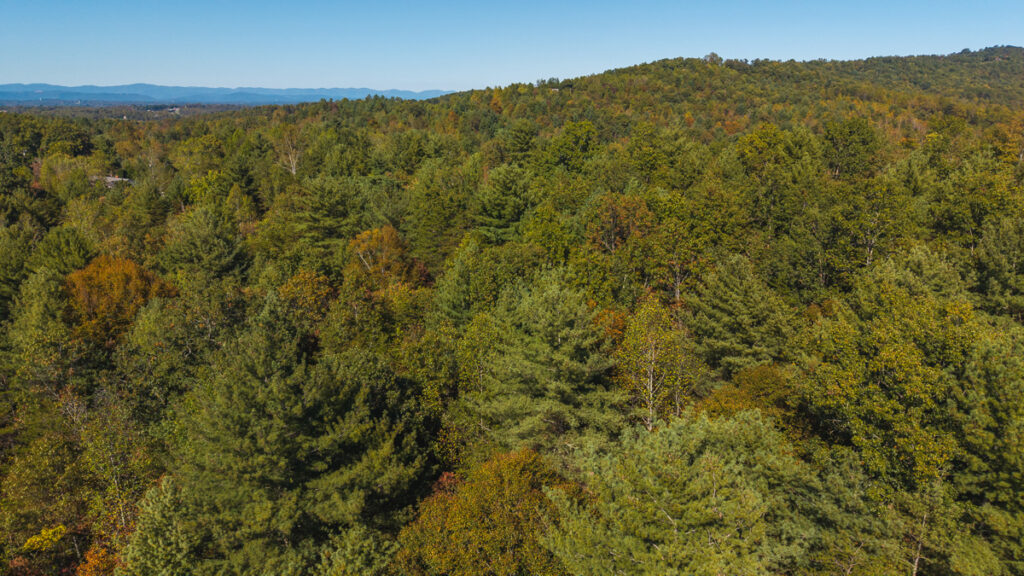 Property photo for land for sale in Wilkes County North Carolina