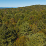 Property photo for land for sale in Wilkes County North Carolina