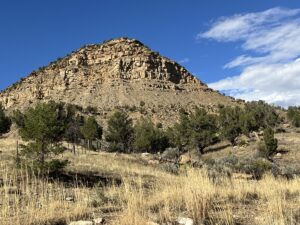 Property photo for land for sale in Montezuma County Colorado