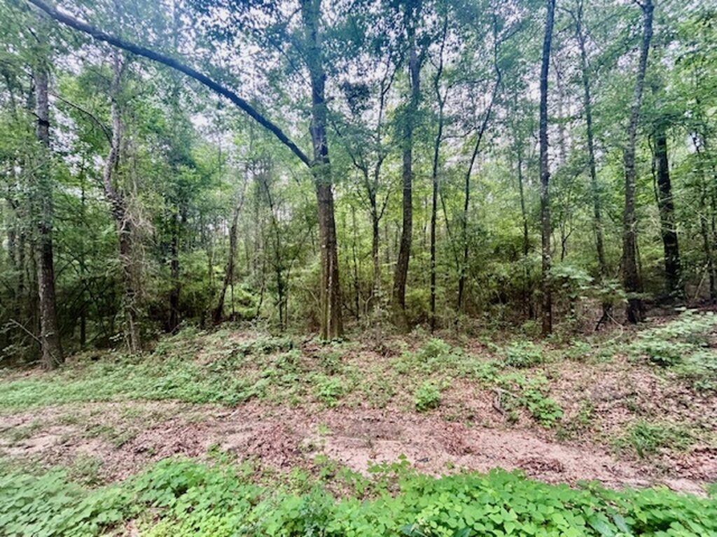 Property photo for land for sale in Covington County Mississippi