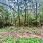 Property photo for land for sale in Covington County Mississippi