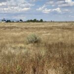 Property photo for land for sale in Torrance County New Mexico