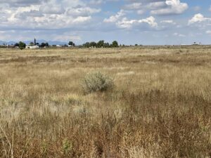 Property photo for land for sale in Torrance County New Mexico