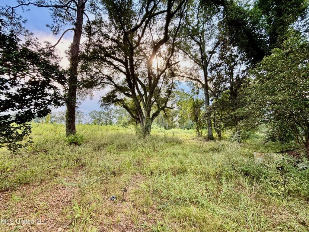 Property photo for land for sale in Walthall County Mississippi