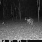 Property photo for land for sale in Warrick County Indiana