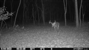 Property photo for land for sale in Warrick County Indiana