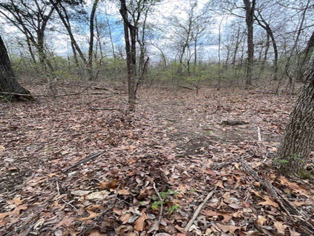 Property photo for land for sale in Marion County Arkansas
