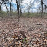 Property photo for land for sale in Marion County Arkansas