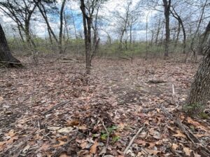 Property photo for land for sale in Marion County Arkansas