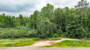 Property photo for land for sale in Pine County Minnesota
