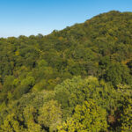 Property photo for land for sale in Hawkins County Tennessee