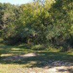 Property photo for land for sale in Lewis County Tennessee