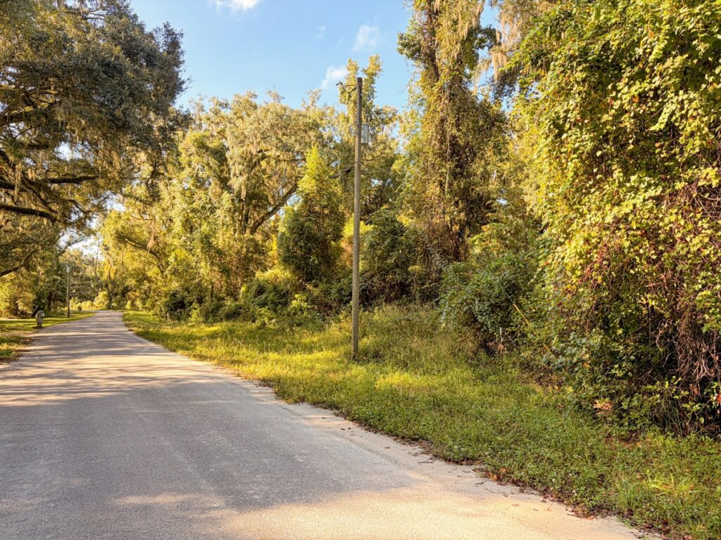 Property photo for land for sale in Levy County Florida
