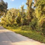 Property photo for land for sale in Levy County Florida