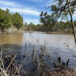 Property photo for land for sale in Cass County Texas