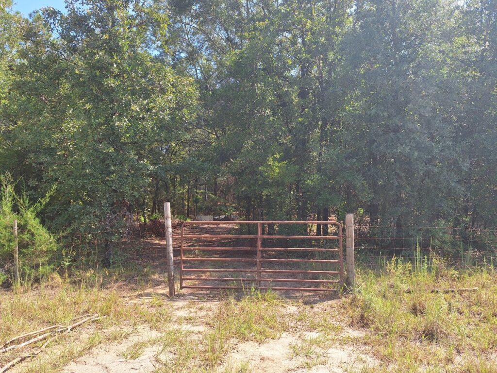 Property photo for land for sale in Gilchrist County Florida