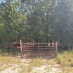 Property photo for land for sale in Gilchrist County Florida