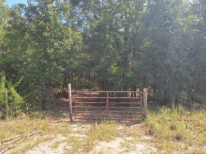 Property photo for land for sale in Gilchrist County Florida