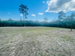 Property photo for land for sale in Marion County Arkansas