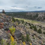 Property photo for land for sale in Harney County Oregon