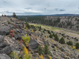 Property photo for land for sale in Harney County Oregon