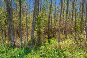Property photo for land for sale in Buffalo County Wisconsin