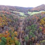 Property photo for land for sale in Wythe County Virginia