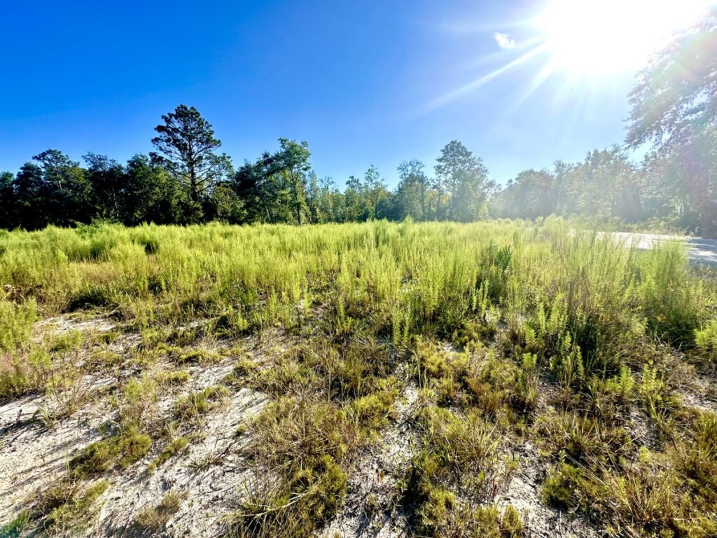 Property photo for land for sale in Suwannee County Florida