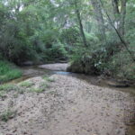 Property photo for land for sale in Barrow County Georgia