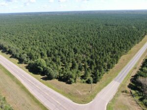 Property photo for land for sale in Adams County Wisconsin
