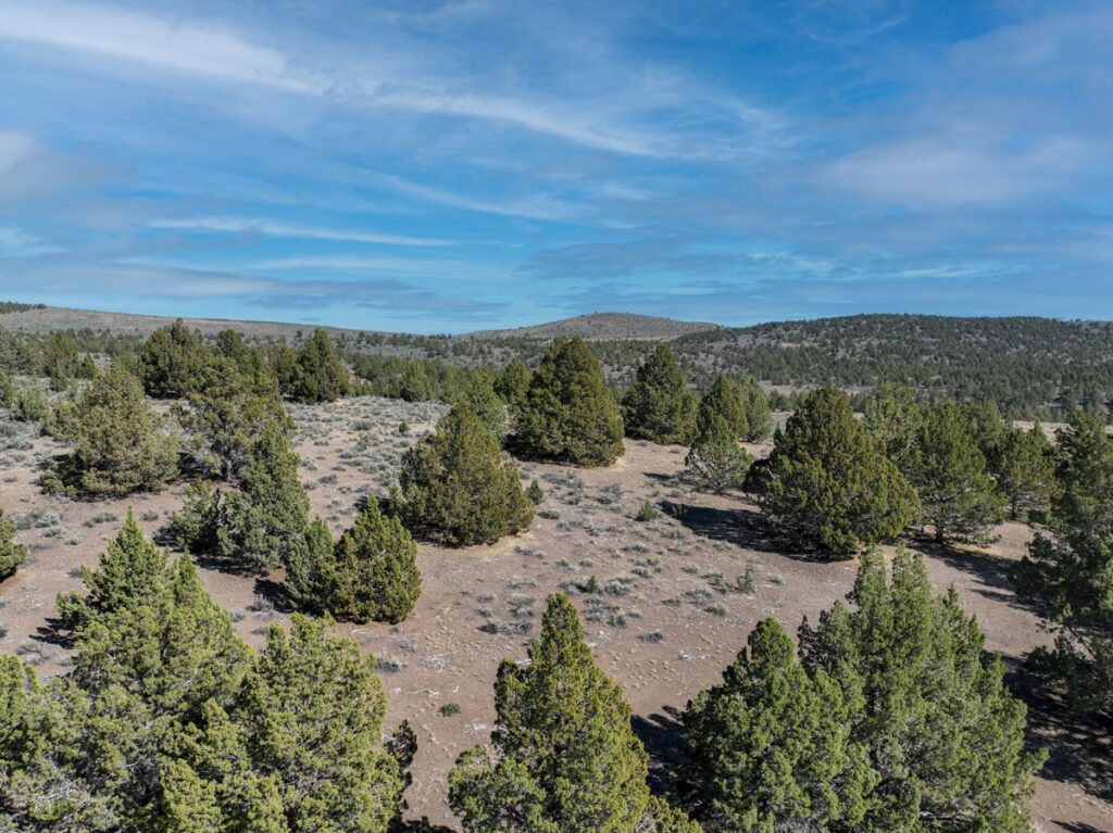 Property photo for land for sale in Harney County Oregon