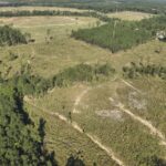 Property photo for land for sale in Union County Arkansas