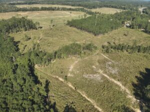 Property photo for land for sale in Union County Arkansas