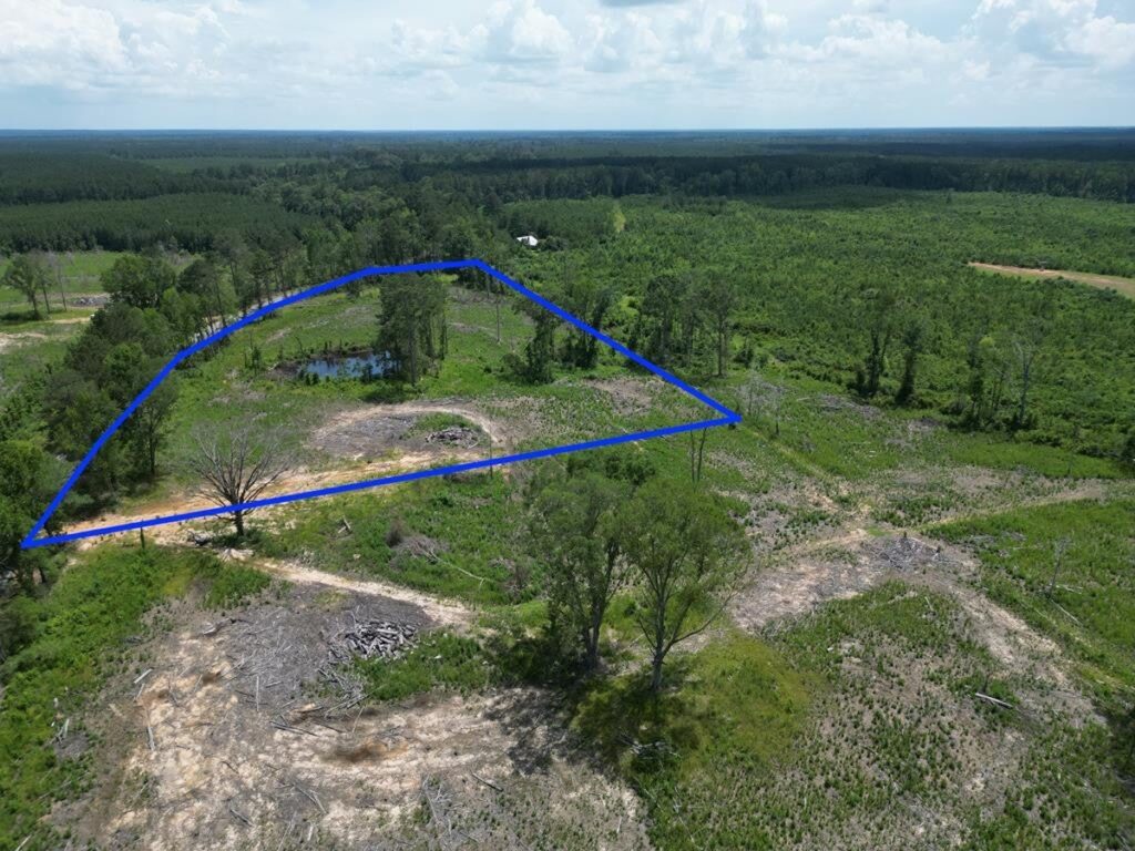 Property photo for land for sale in Amite County Mississippi