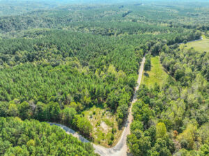 Property photo for land for sale in Lewis County Tennessee