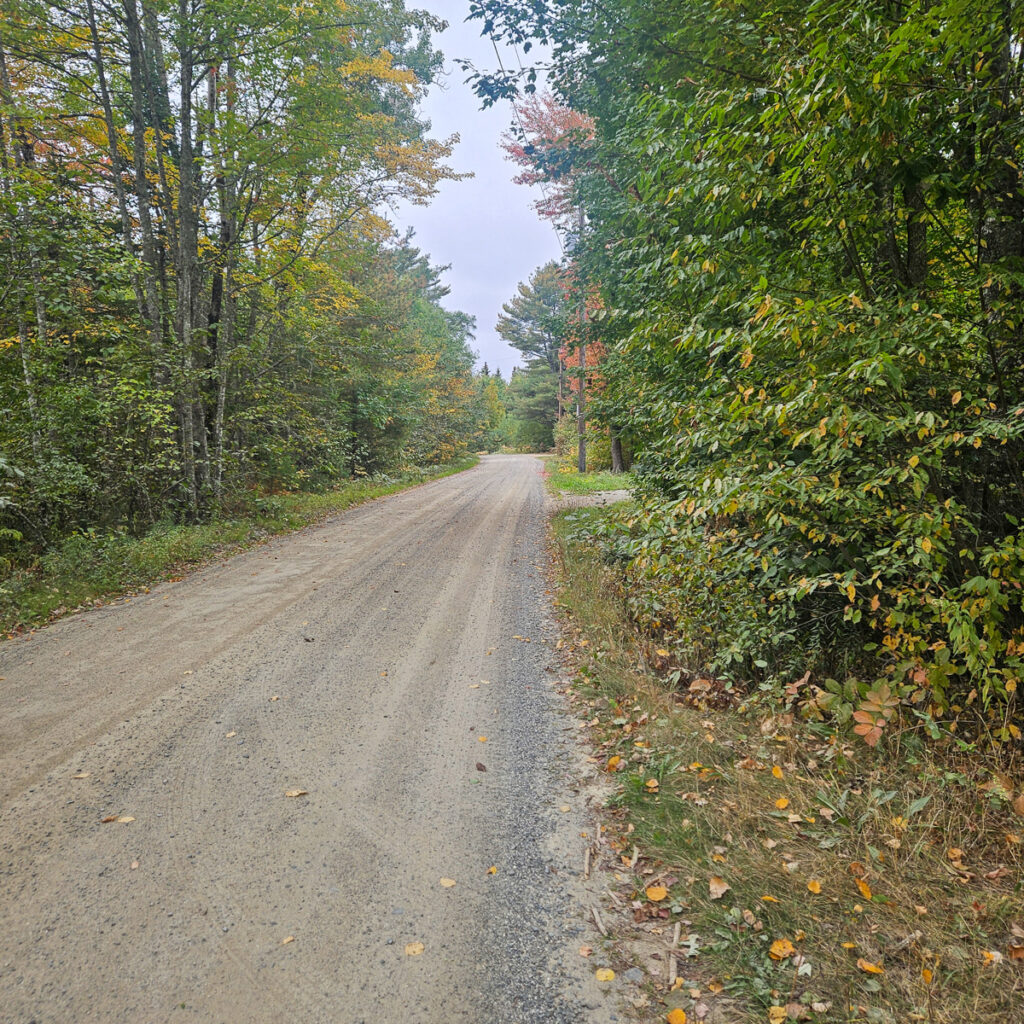 Property photo for land for sale in Hancock County Maine