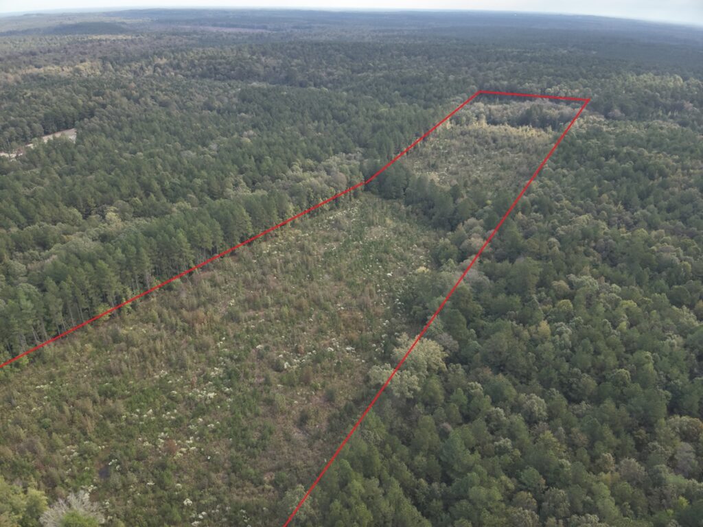 Property photo for land for sale in Ouachita County Arkansas