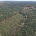 Property photo for land for sale in Ouachita County Arkansas