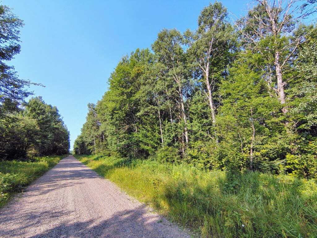 Property photo for land for sale in Ashland County Wisconsin