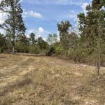 Property photo for land for sale in Douglas County Missouri