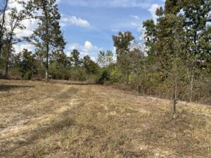 Property photo for land for sale in Douglas County Missouri