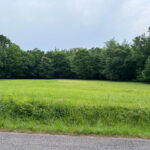 Property photo for land for sale in McNairy County Tennessee