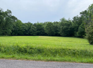 Property photo for land for sale in McNairy County Tennessee